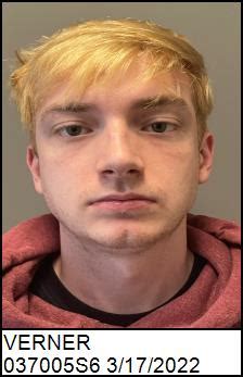 Harry James Verner Sex Offender In Fletcher NC 28732 NC037005S6