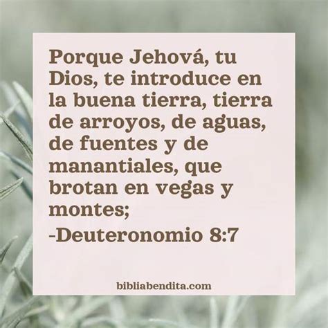 Explicación Deuteronomio 8 7 Porque Jehová tu Dios te introduce en