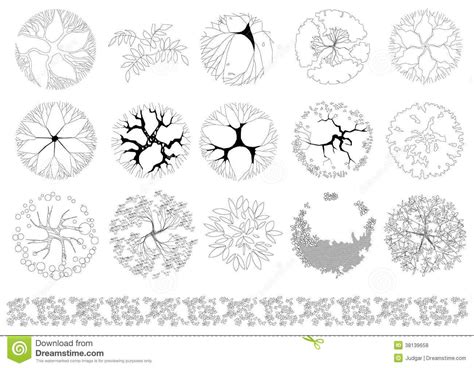 Tree Plan View Vector At Getdrawings Free Download