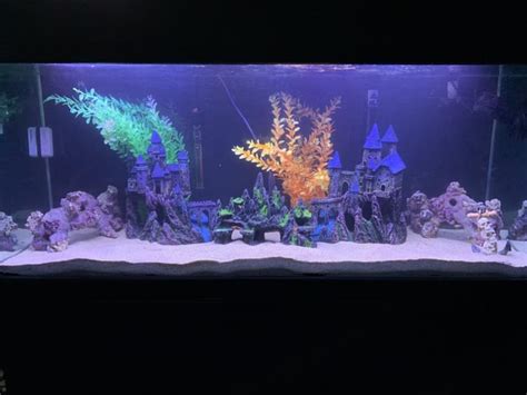 Tank Deco Change : r/AfricanCichlids