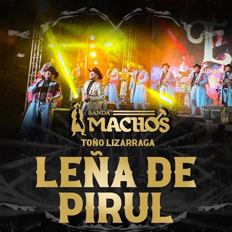 Le A De Pirul Single By Banda Machos To O Lizarraga On Apple Music