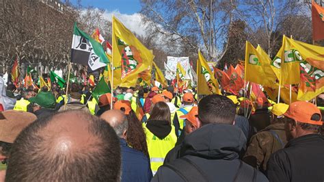 MÁS DE 30 000 PERSONAS Y 100 TRACTORES EN LA GRAN TRACTORADA Y