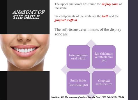 Smile Esthetics In Orthodontics Ppt