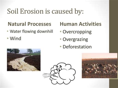 Soil Erosion And Conservation