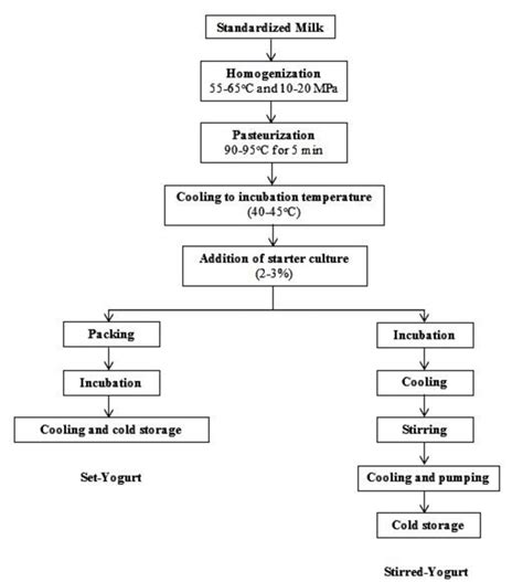 Main Processing Steps In The Manufacture Of Set And Stirred Yogurt