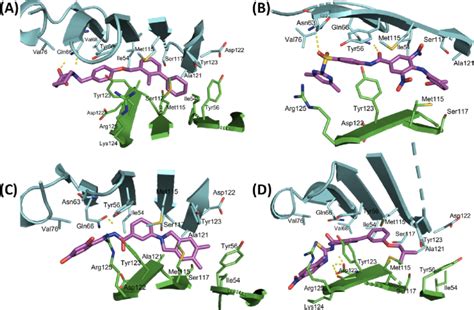 Binding Mode Of The Hit Compounds At The PD L1 Dimer Interface A