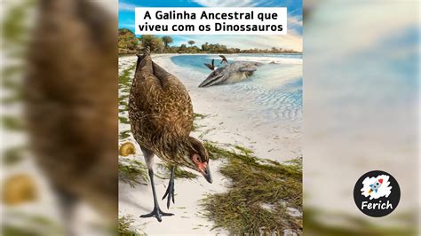 A Galinha Ancestral que viveu com os Dinossauros - YouTube