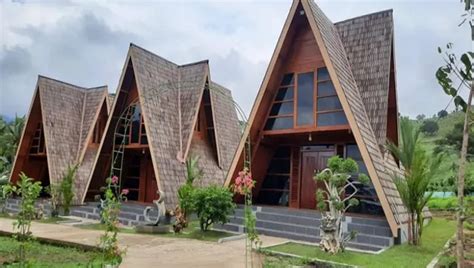 jenis jenis penginapan  penjelasannya  ide bisnis