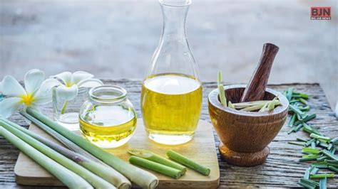 How To Make Lemongrass Oil Process Of Making Lemongrass Oil