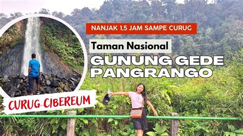 Nanjak Jam Ke Curug Cibereum Gunung Gede Pangrango Gunungpangrango