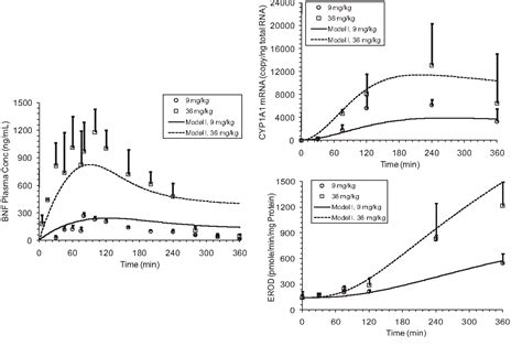 Figure From A Mechanism Based Mathematical Model Of Aryl Hydrocarbon