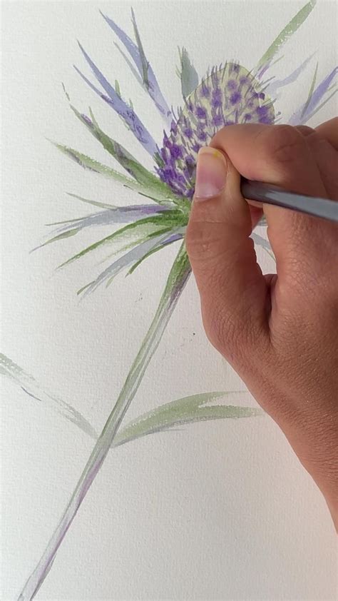 How To Paint Watercolor Thistle Not So Scary As You Might Thinking