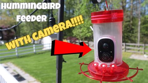 Birdkiss Smart Hummingbird Feeder With Camera Review YouTube