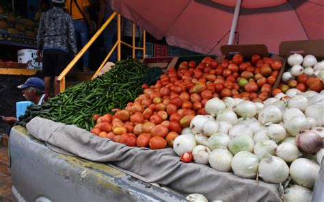 Aumenta El Precio De Los Productos De La Canasta B Sica Observatorio