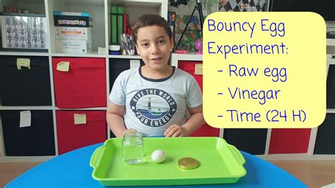 Easy Bouncy Egg Science Experiment For Kids Youtube