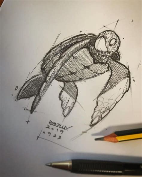 Turtle Pencil Drawing