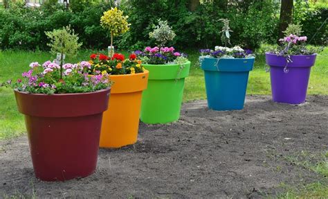 Plantes Pour Grands Pots