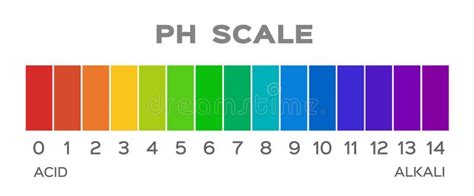 Ph Scale Basic