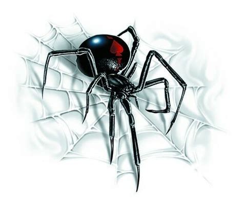 Black Widow Spider On Web Car Sticker Tattoo Art Auto Decal 9342615005379 Ebay Spider