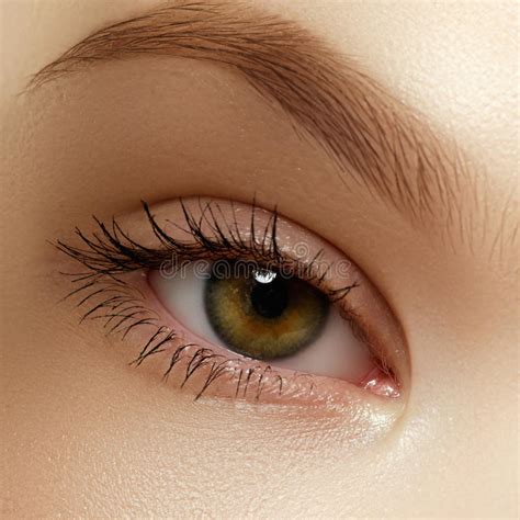 Macro Shot Of Woman S Beautiful Eye With Long Eyelashes Vi Stock Image