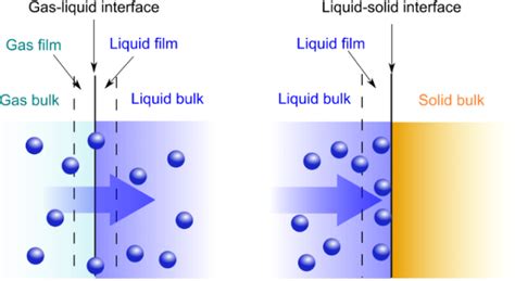 10 Difference Between Absorption And Adsorption With Examples Viva