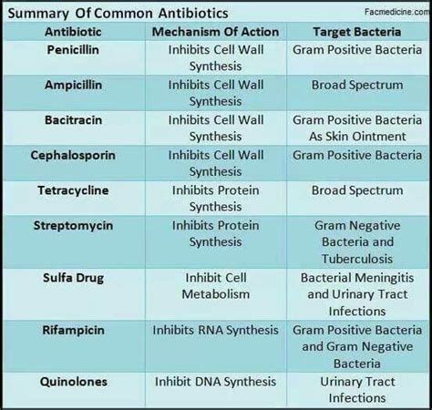 de  baesta ideerna om antibiotics nursing pa pinterest pharmacology
