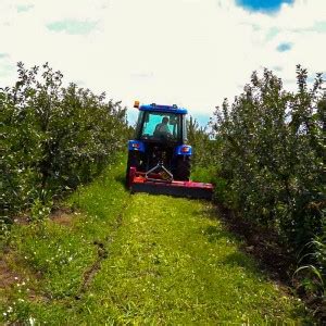 Broyeur Vignes Et Verger Pour Tracteur General Materiel