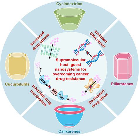 Supramolecular Host Guest Nanosystems For Overcoming Cancer Drug Resistance