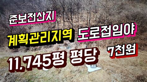 도로에 접한 계획관리지역 준보전산지 임야 저렴하고 좋은땅 Youtube