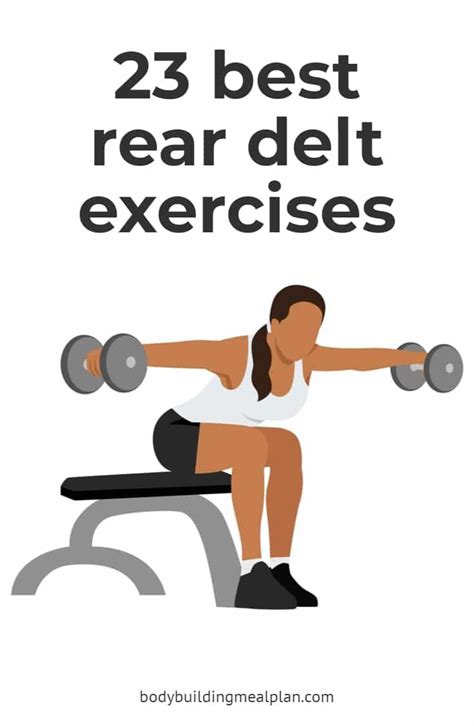 Rear Delt Exercises Artofit