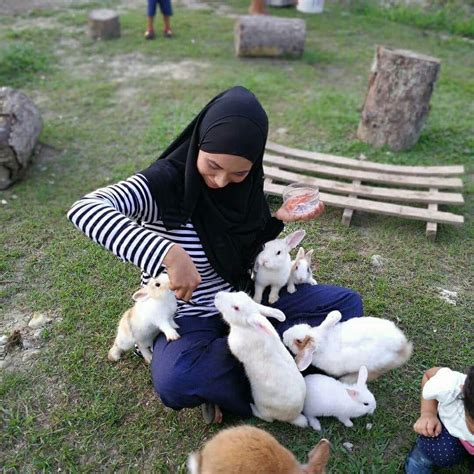 Mini Zoo Dimpian Agro Farm By Coach Bahar Tempat Menarik Di Muar