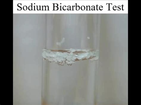 Sodium Bicarbonate Test For Carboxylic Acids, 54% OFF