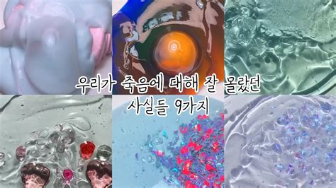 우리가 죽음에 대해 잘 몰랐던 사실들 9가지대규모시리즈액괴 대규모시리즈 알고리즘 액괴 추천 대시액 알고리즘 대규모