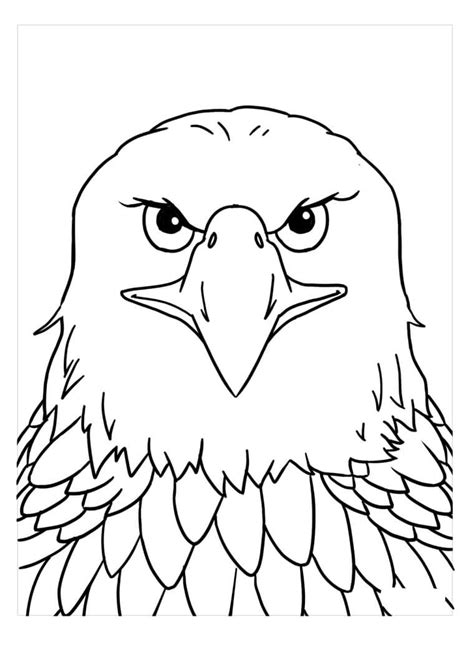 Agregar Aguila Dibujo Animado Para Colorear Muy Caliente Camera