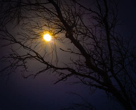 Thomas Bradley Moonlight Killarney Camera Club Flickr