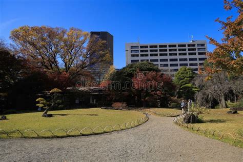 Walkway Landscape Shots At Koishikawa Korakuen Garden Nov