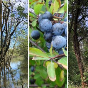 Trekking E Camminate Delta Del Po