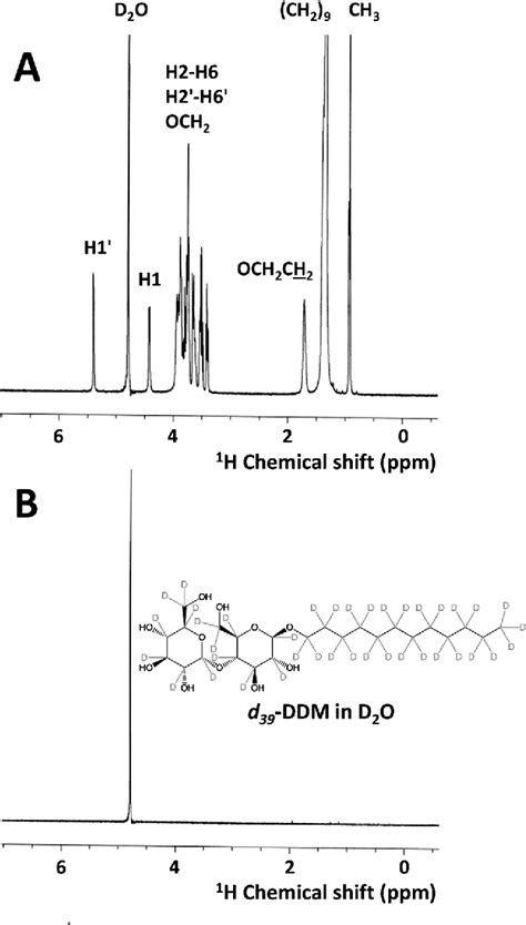 Figure 2 from Synthesis of uniformly deuterated n dodecyl β D maltoside