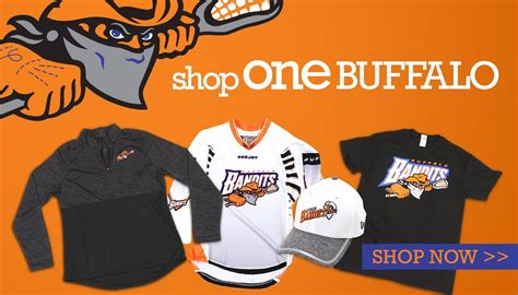 Buffalo Bandits Logo Logodix