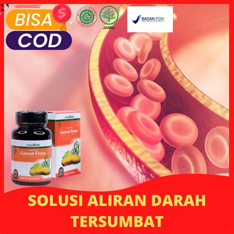 Obat Untuk Mencegah Penyakit Emboli Obat Untuk Menormalkan Aliran