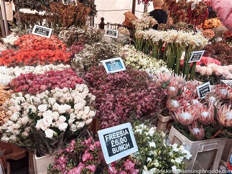 Columbia Road Flower Market: Complete Guide To Visiting London's Famous ...