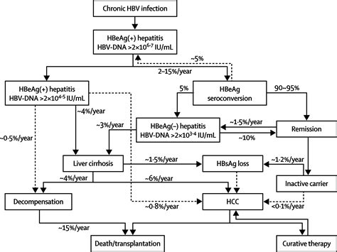 Hepatitis B Virus Infection The Lancet