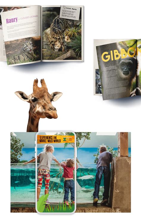 Fort Wayne Children's Zoo | Case Study | The Ferguson Agency