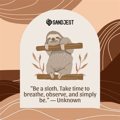 100+ Sloth Quotes That Will Make You Smile and Relax - Personalized ...