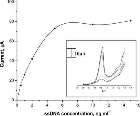 Effect Of The Hs Ssdna Probe Amount Immobilized At Spge Obtained After