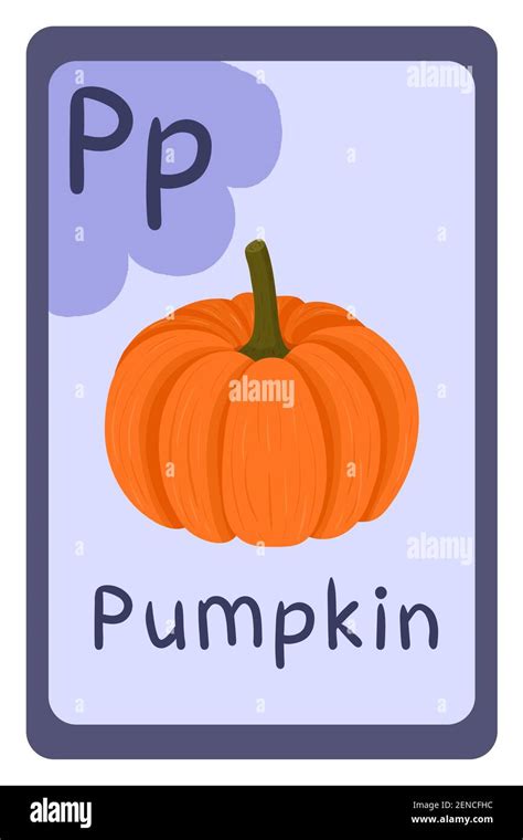 Colorful Abc Education Flash Card Letter P Pumpkin Alphabet Vector Illustration With Food