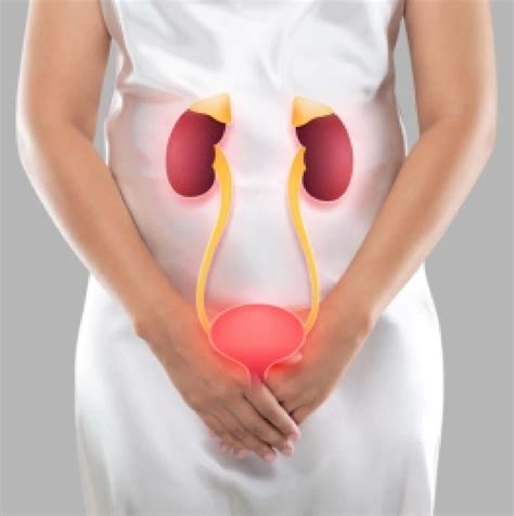 Treatment for UTI in Bareilly