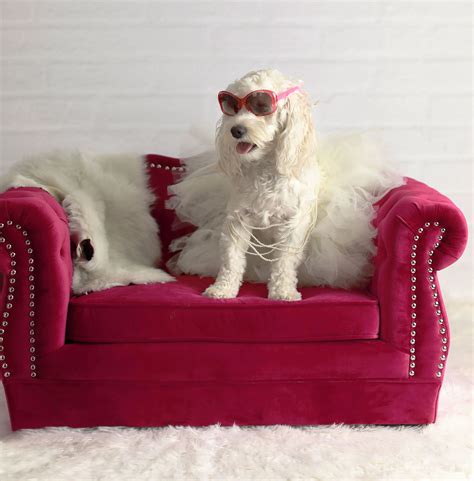 Yorkshire Pink Velvet Pet Bed Tov Furniture Luxury Dog Couch Dog