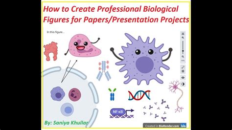 Making Free Professional Biological Figures For Papers Presentation