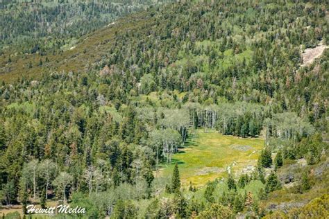 Everything You Need To Visit The Great Basin National Park